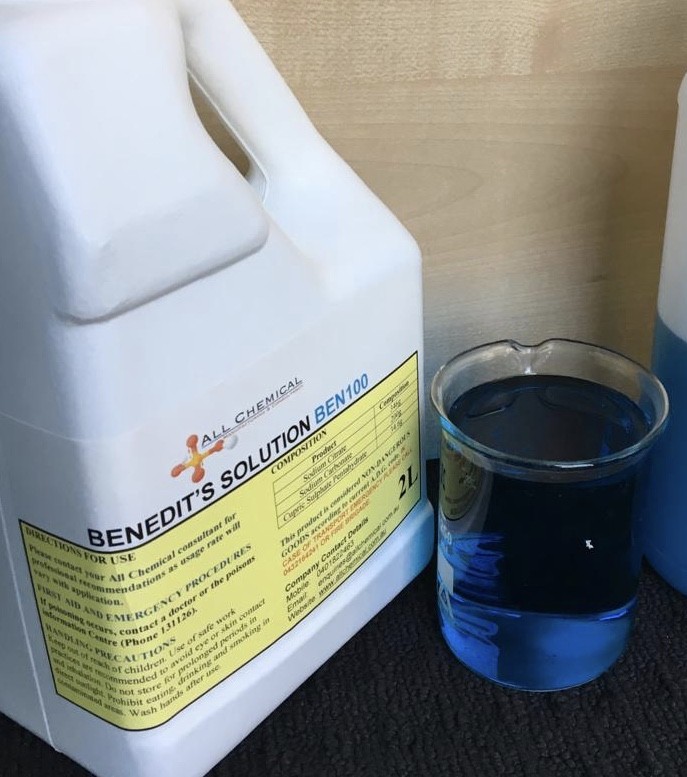 Benedict’s Solution